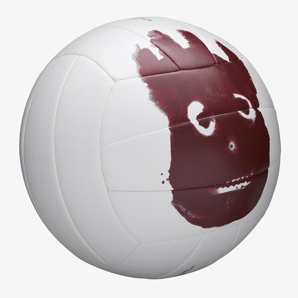 Мяч волейбольный Wilson Castaway