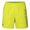 Шорты пляжные Arena Logotype 009102-663, салатовый