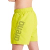 Шорты пляжные Arena Fundamentals 000662-680, желтый