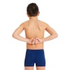 Плавки-шорты для плавания Arena Team Short Solid 004777-750, темно-синий