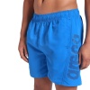 Шорты пляжные Arena Fundamentals 006444-817, синий