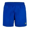 Шорты пляжные Arena Bywayx 006442-860, синий