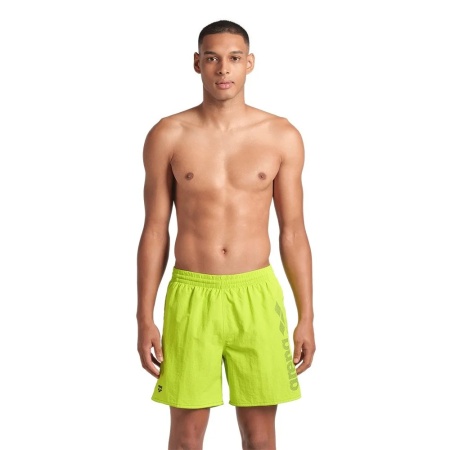 Шорты пляжные Arena Logotype 009102-663, салатовый