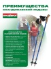 Палки для скандинавской ходьбы Ergoforce Nordic E-0673, 2-х секционные, алюм., 110 - 140 см, синий