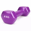 Гантель цельнолитая виниловая GF-009KG, 4 кг, цветные