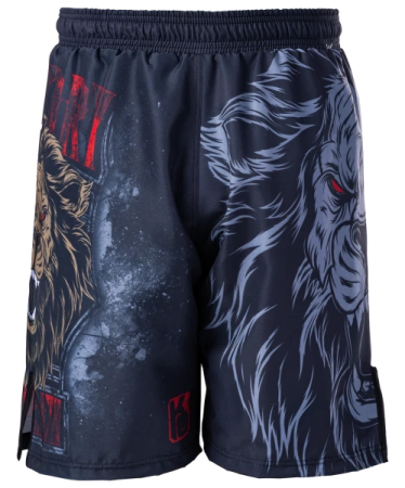 Шорты для MMA Knock Out Lion SH-101, детский, черный