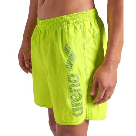 Шорты пляжные Arena Logotype 009102-663, салатовый