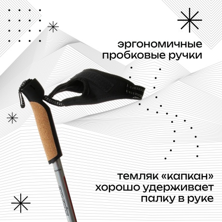Палки лыжные Gekars Expert Plus, алюминий, серый